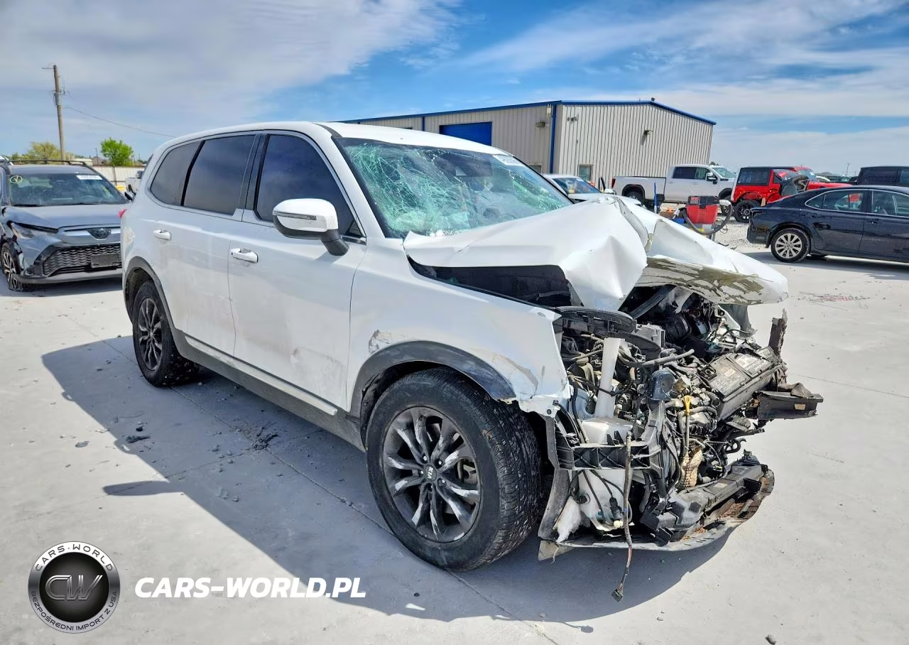 2020 Kia Telluride Lx VIN:5XYP24HC3LG046760 - 4