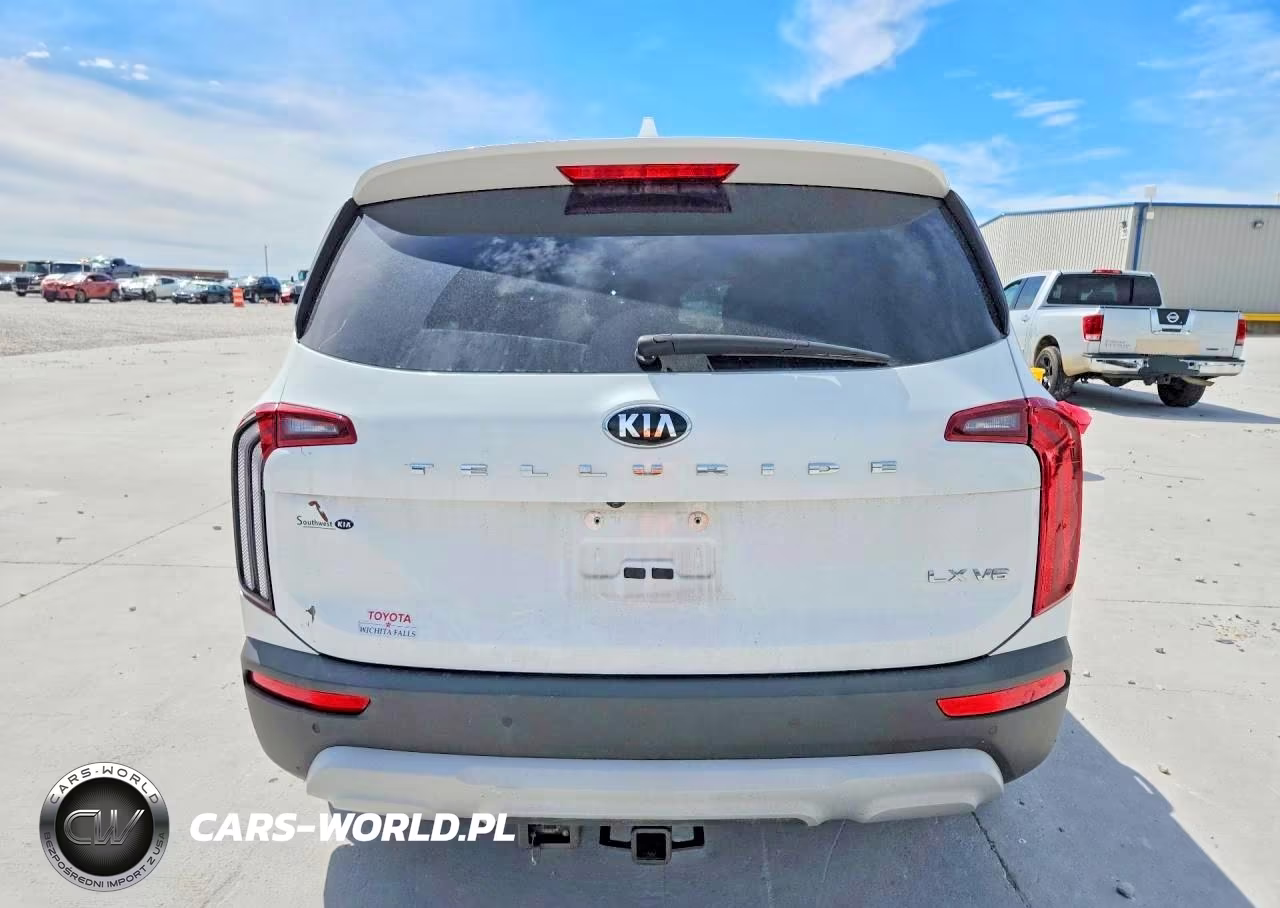 2020 Kia Telluride Lx VIN:5XYP24HC3LG046760 - 6