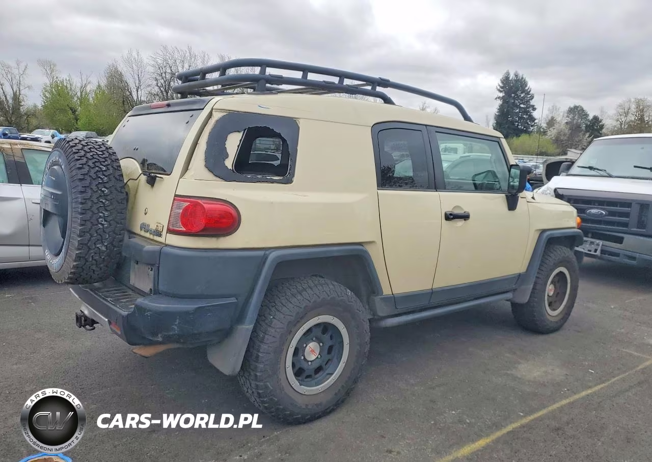2010 Toyota Fj Cruiser Base VIN:JTEBU4BF5AK095288 - 3