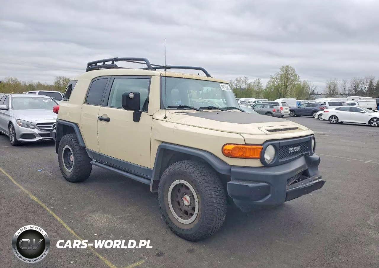 2010 Toyota Fj Cruiser Base VIN:JTEBU4BF5AK095288 - 4