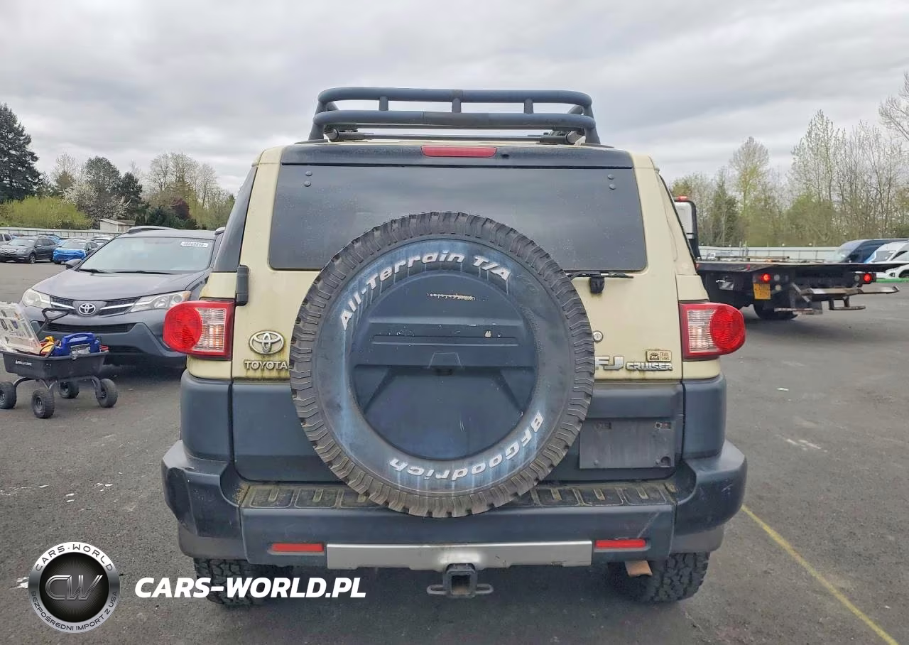 2010 Toyota Fj Cruiser Base VIN:JTEBU4BF5AK095288 - 6