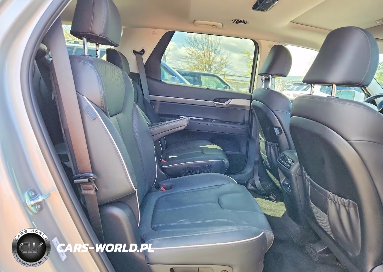 2025 Hyundai Palisade Sel Premium VIN:KM8R4DGE1SU893355 - 11