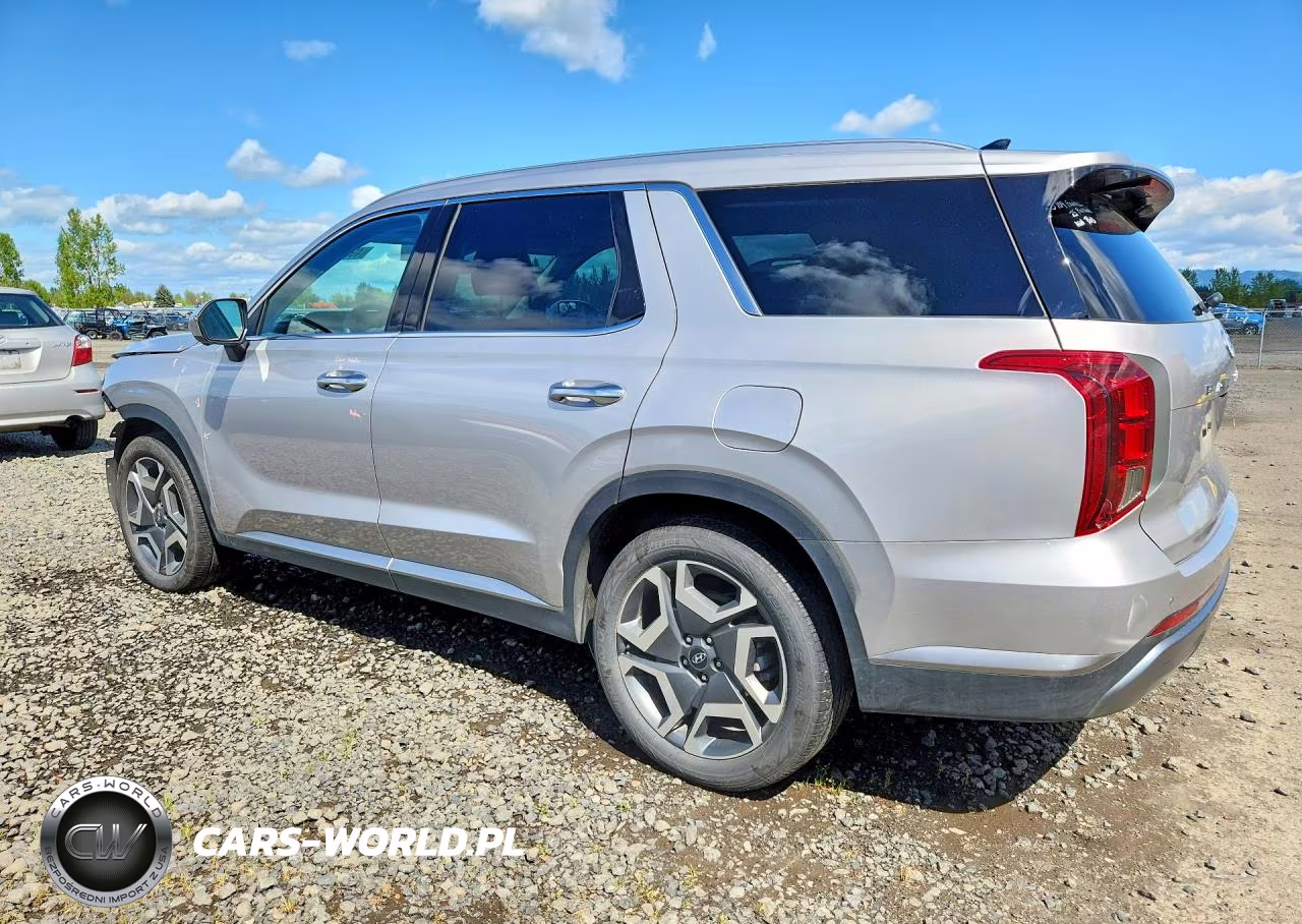 2025 Hyundai Palisade Sel Premium VIN:KM8R4DGE1SU893355 - 2