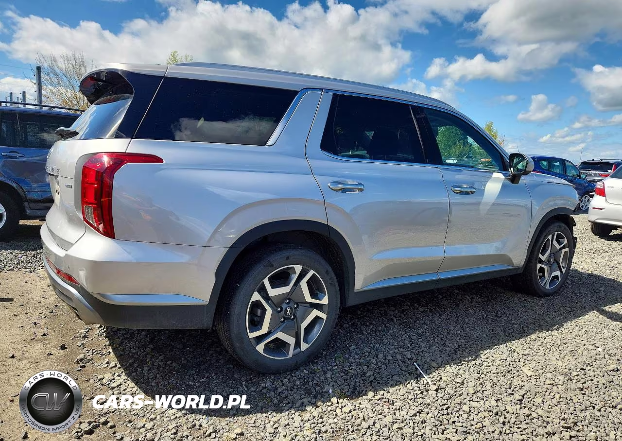 2025 Hyundai Palisade Sel Premium VIN:KM8R4DGE1SU893355 - 3