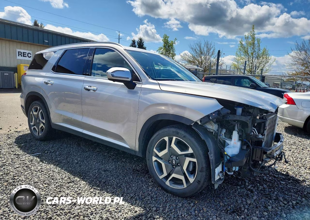 2025 Hyundai Palisade Sel Premium VIN:KM8R4DGE1SU893355 - 4