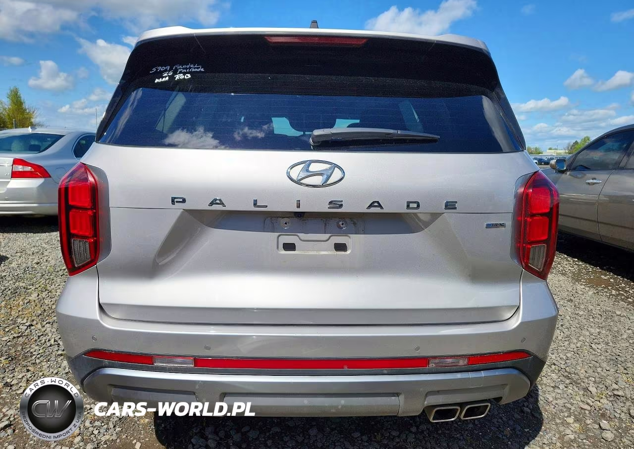 2025 Hyundai Palisade Sel Premium VIN:KM8R4DGE1SU893355 - 6