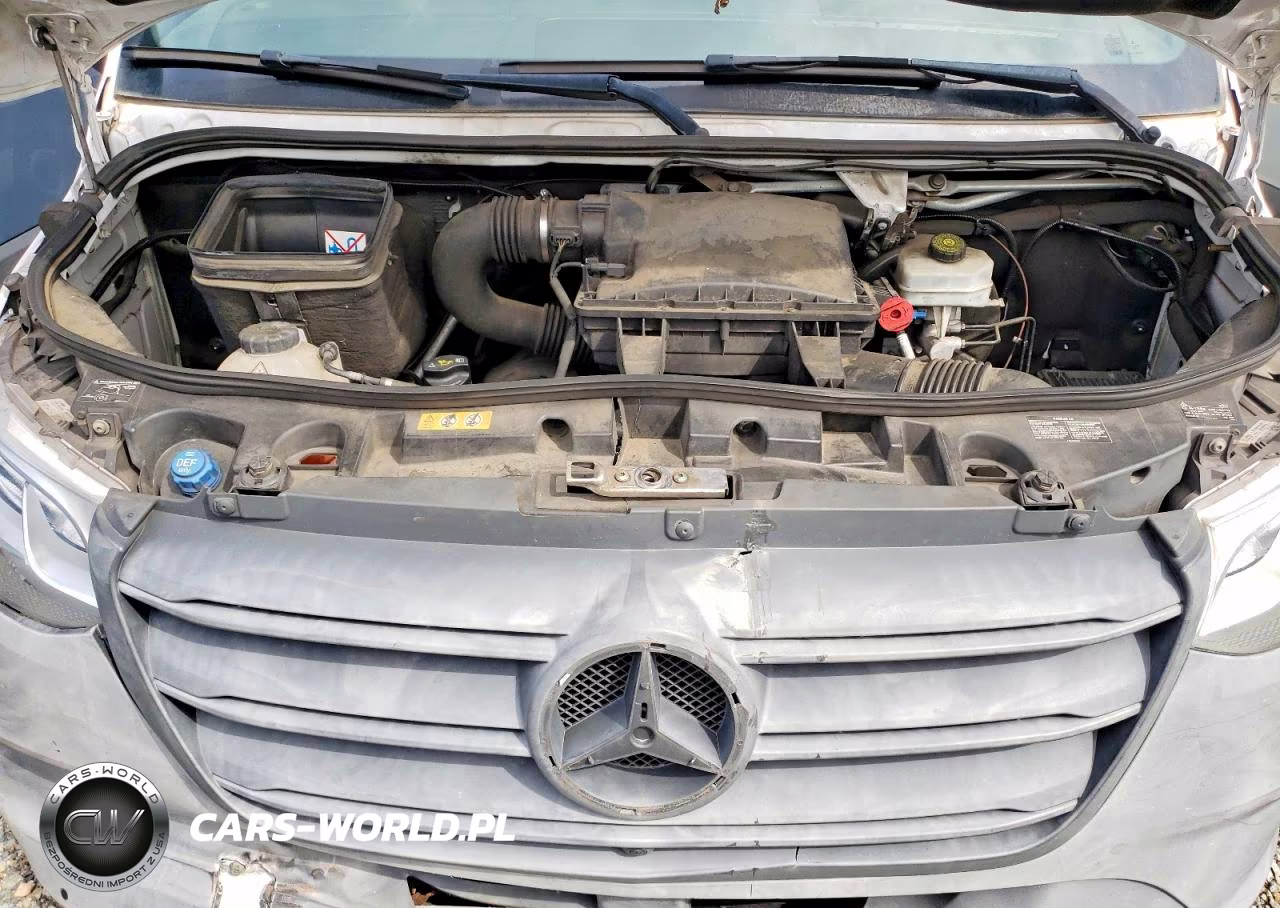 2019 Mercedes-Benz Sprinter VIN:WD4PF1CD9KT007389 - 12