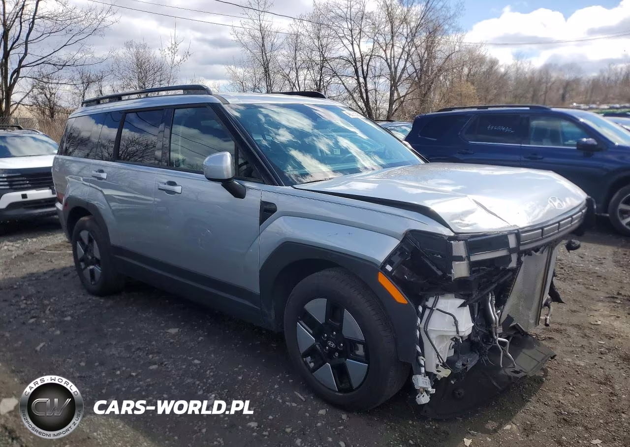 2024 Hyundai Santa Fe Sel VIN:5NMP24G14RH011143 - 4