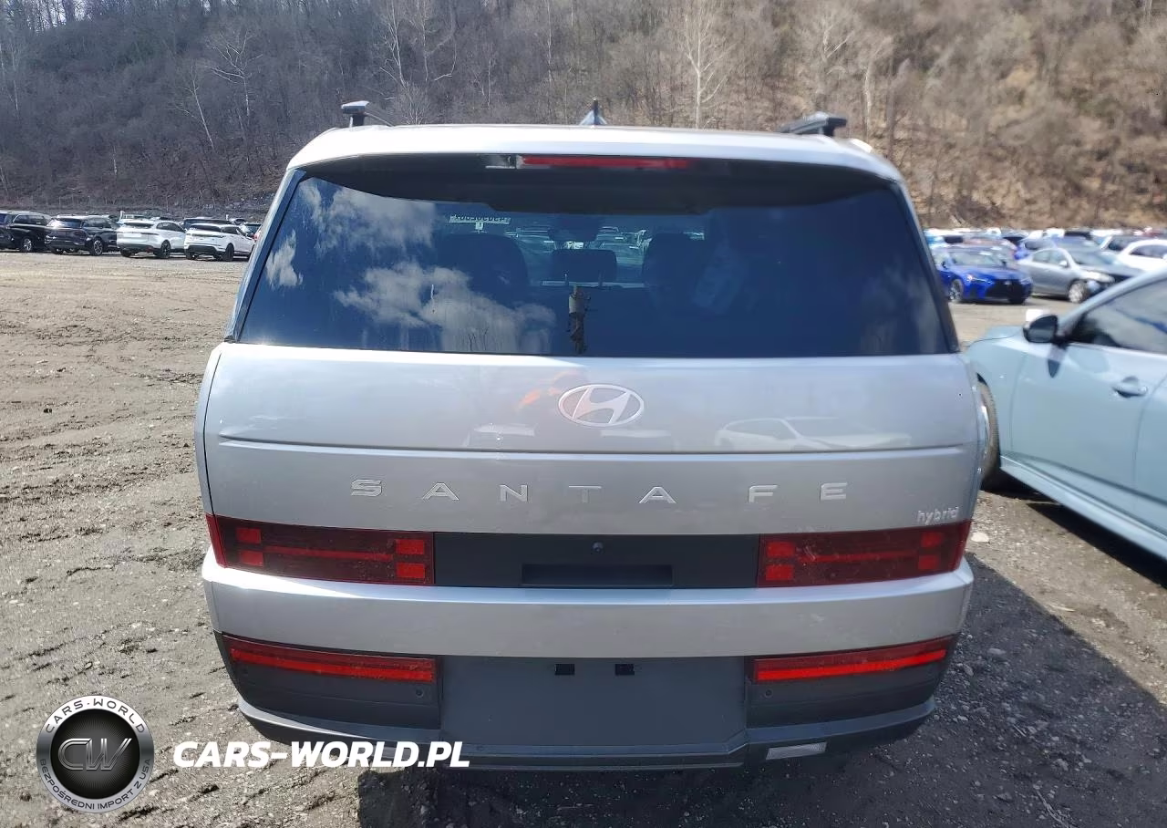 2024 Hyundai Santa Fe Sel VIN:5NMP24G14RH011143 - 6