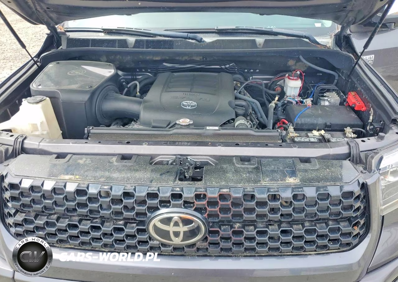 2021 Toyota Tundra Platinum VIN:5TFAY5F16MX965159 - 11