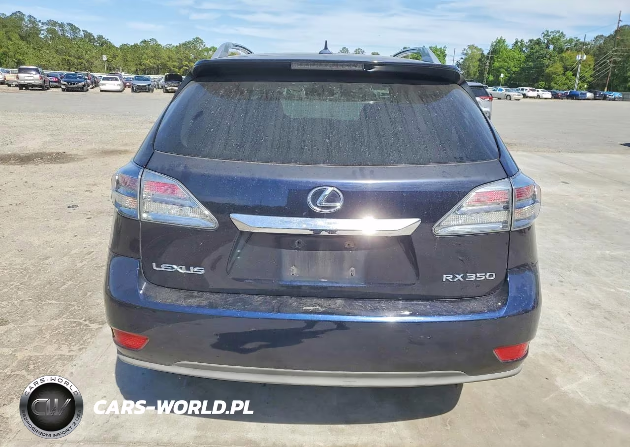 2010 Lexus Rx 350 Base VIN:2T2BK1BA8AC028792 - 6