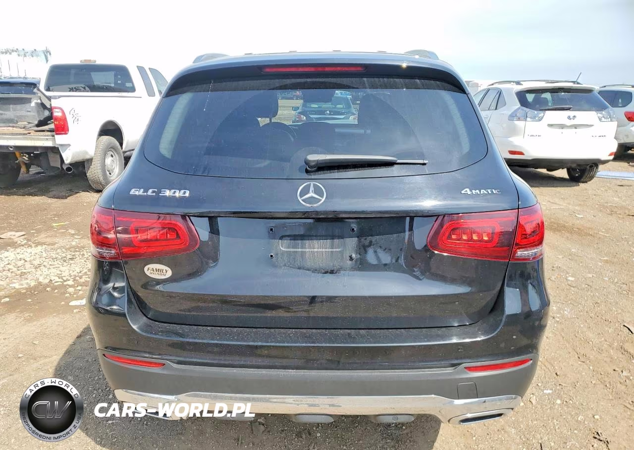 2020 Mercedes-Benz Glc 300 4Matic VIN:W1N0G8EB6LF826687 - 6