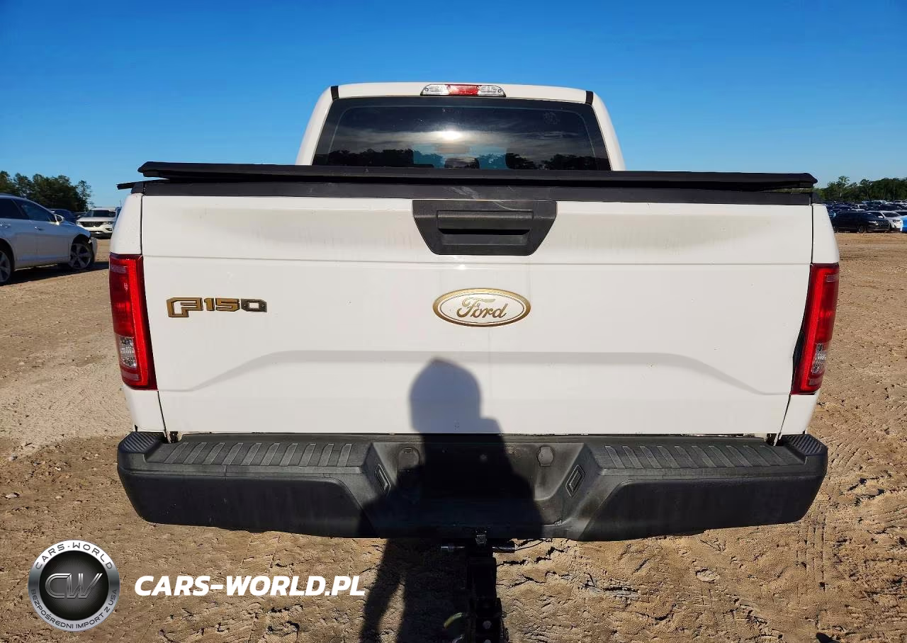 2016 Ford F150 Supercrew VIN:1FTEW1EP2GFD30777 - 6