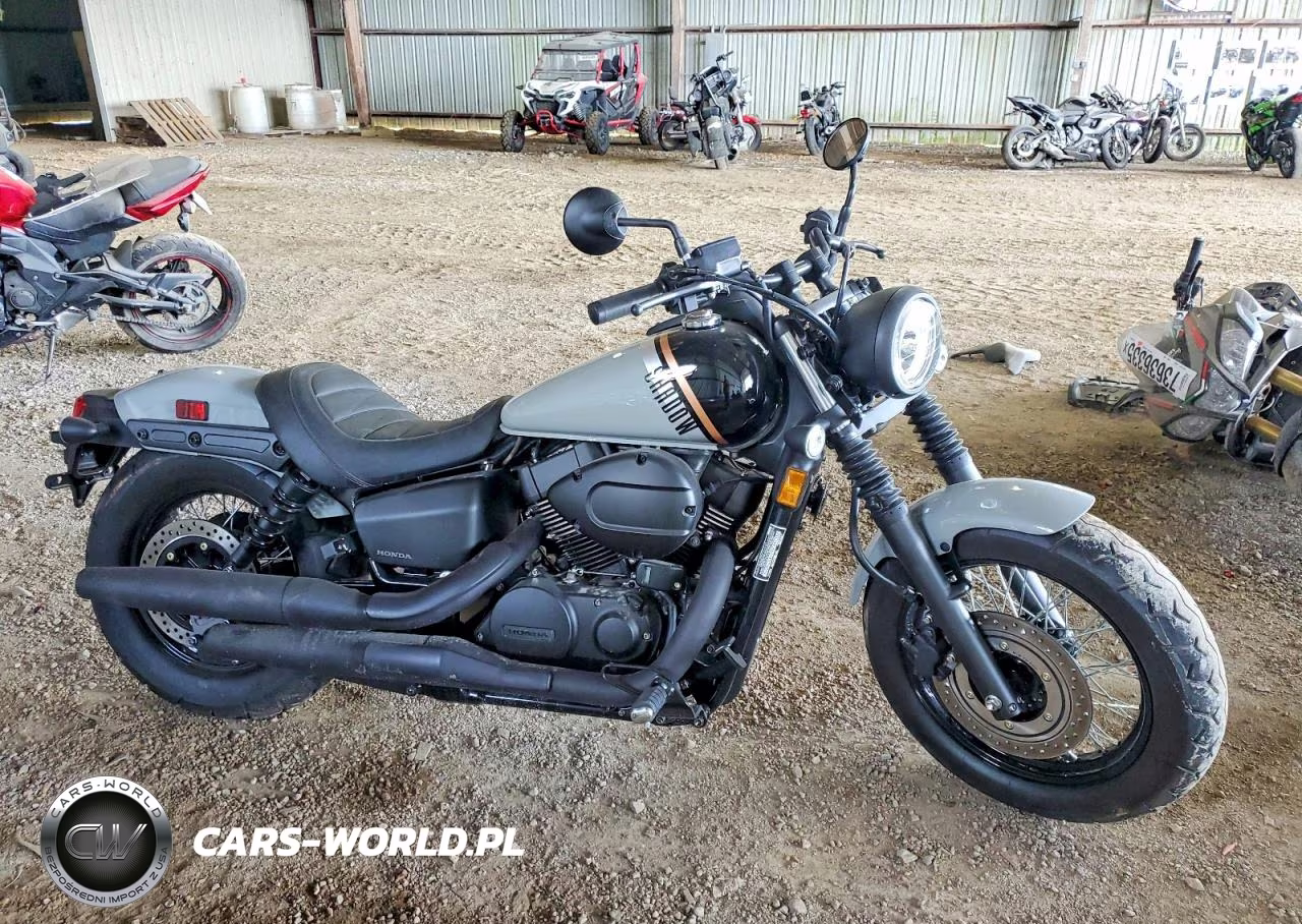 2024 Honda Vt750 C2B