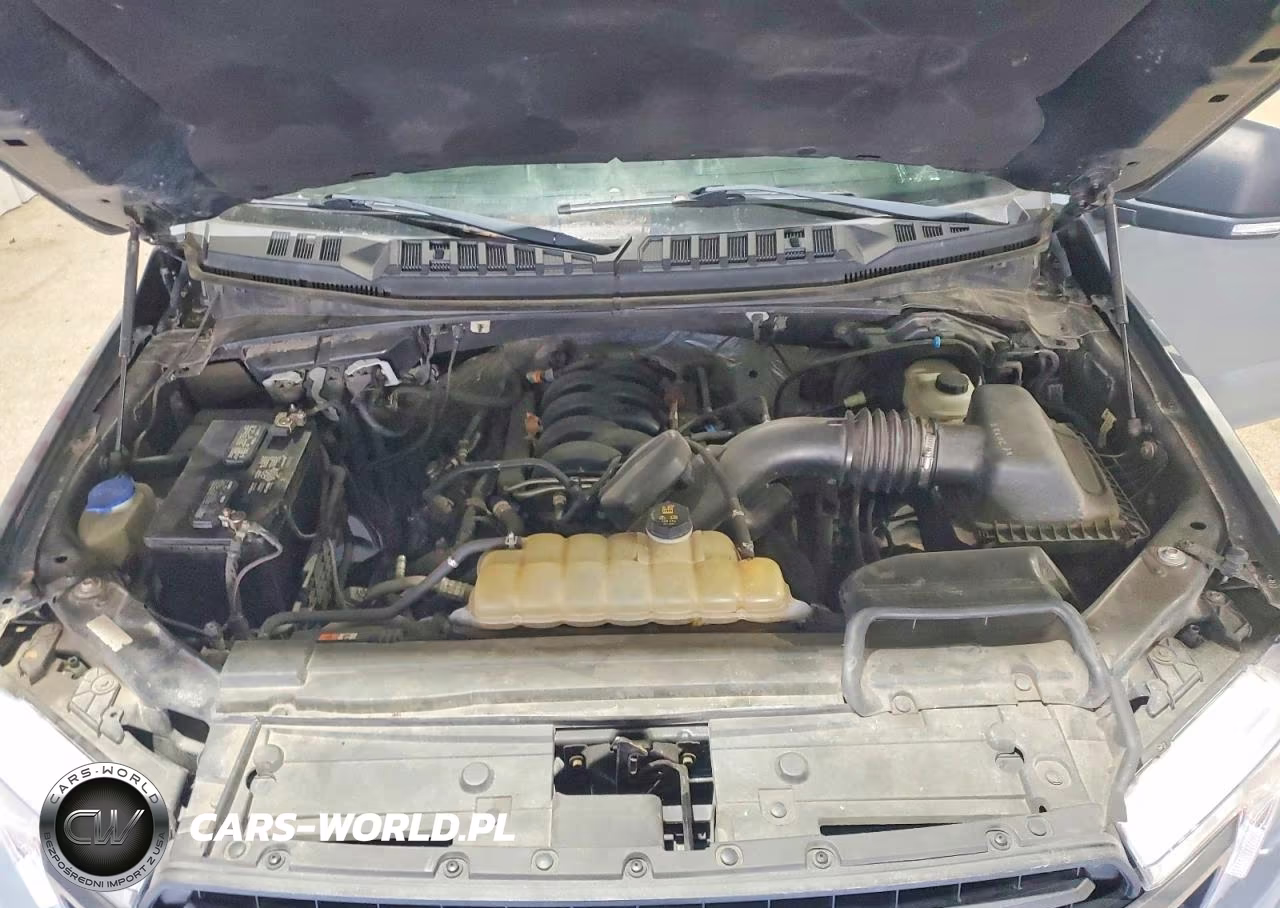 2019 Ford F150 Supercrew VIN:1FTFW1E54KFB30849 - 11
