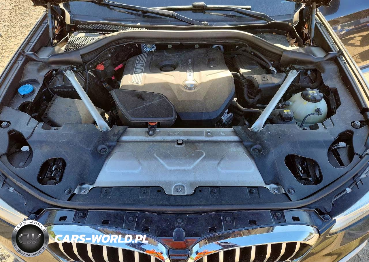 2019 BMW X3 Sdrive30I VIN:5UXTR7C57KLF33503 - 12