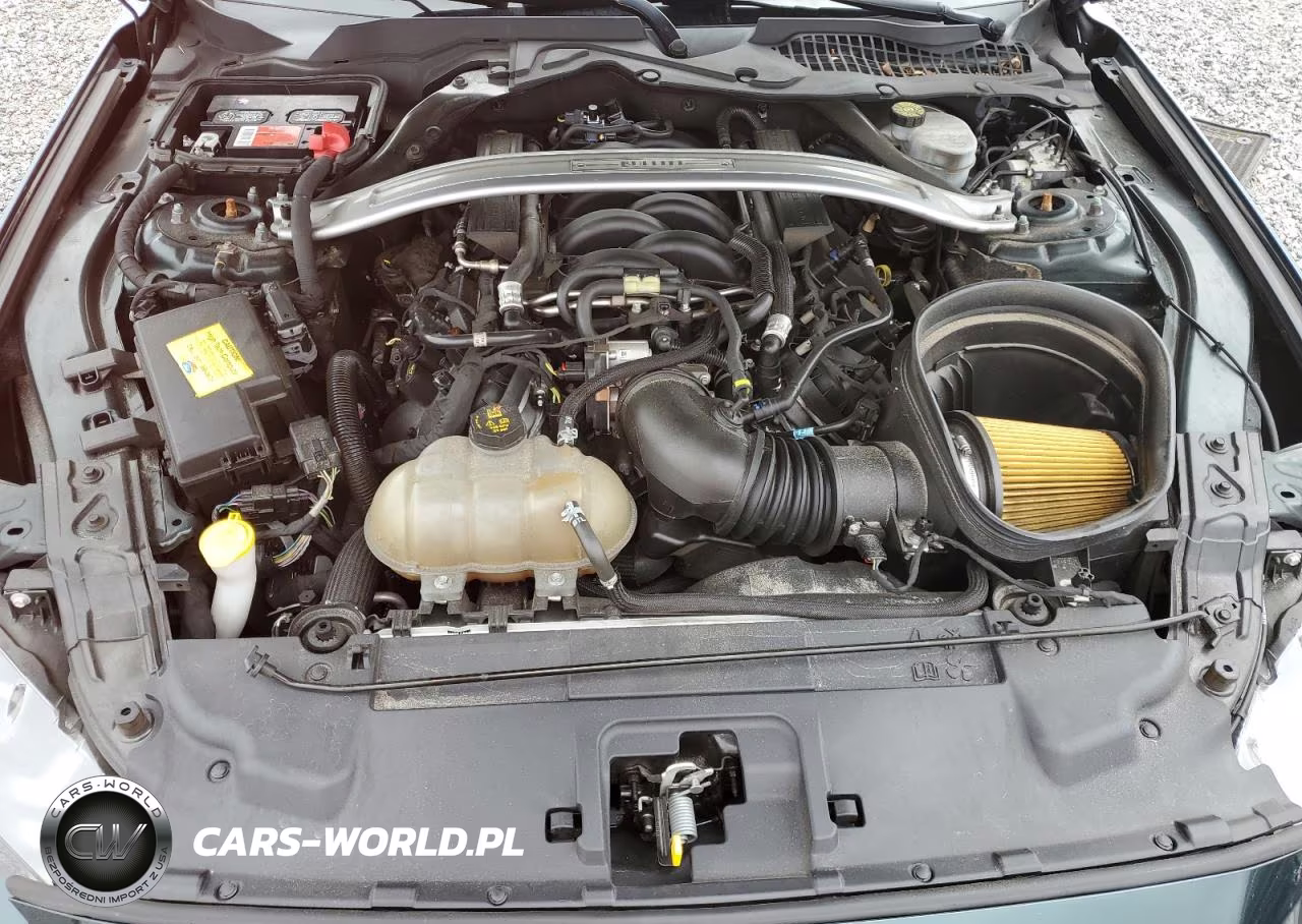 2019 Ford Mustang Bullitt VIN:1FA6P8K0XK5502561 - 11