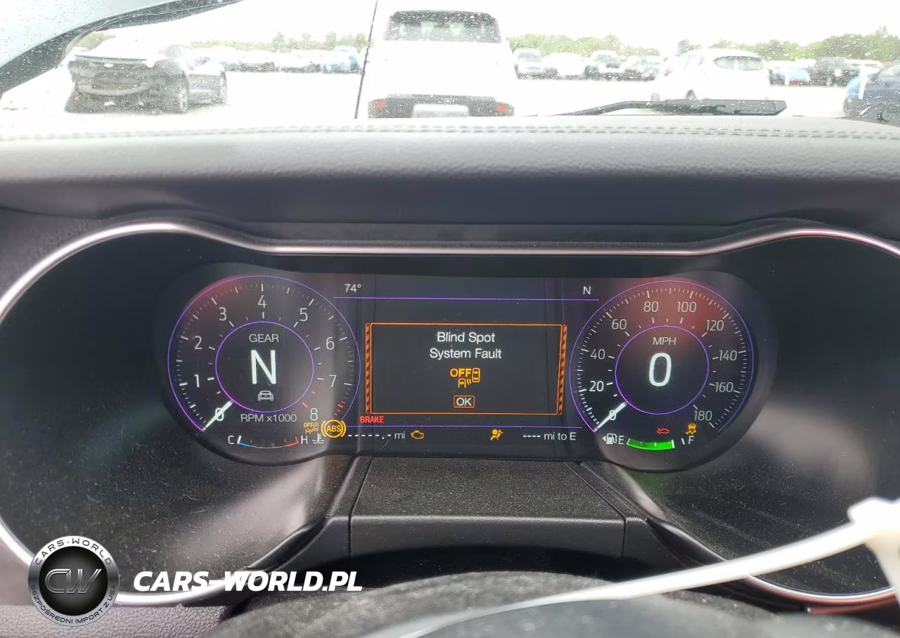 2019 Ford Mustang Bullitt VIN:1FA6P8K0XK5502561 - 9