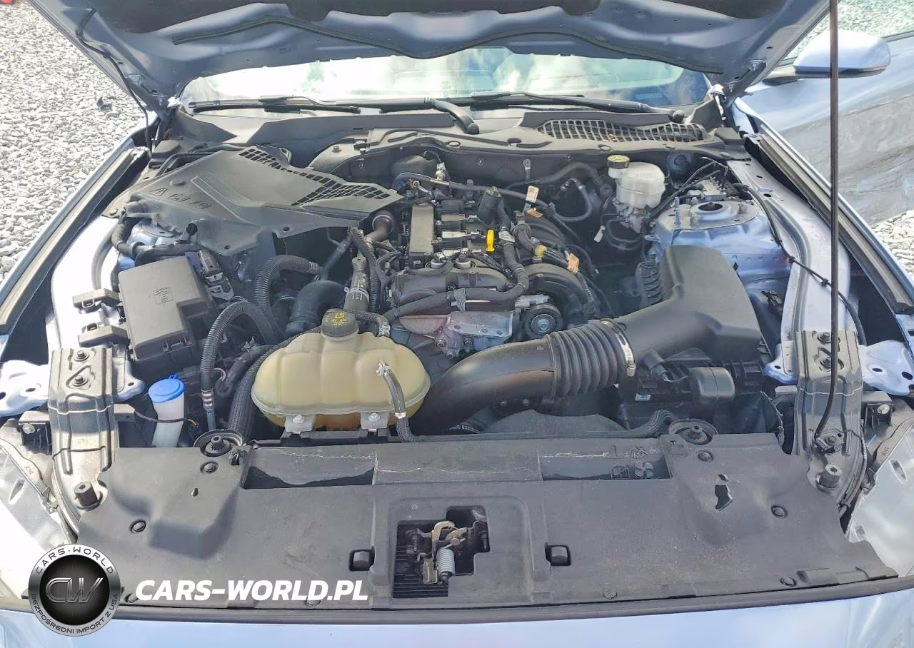 2022 Ford Mustang VIN:1FA6P8TH0N5136781 - 11