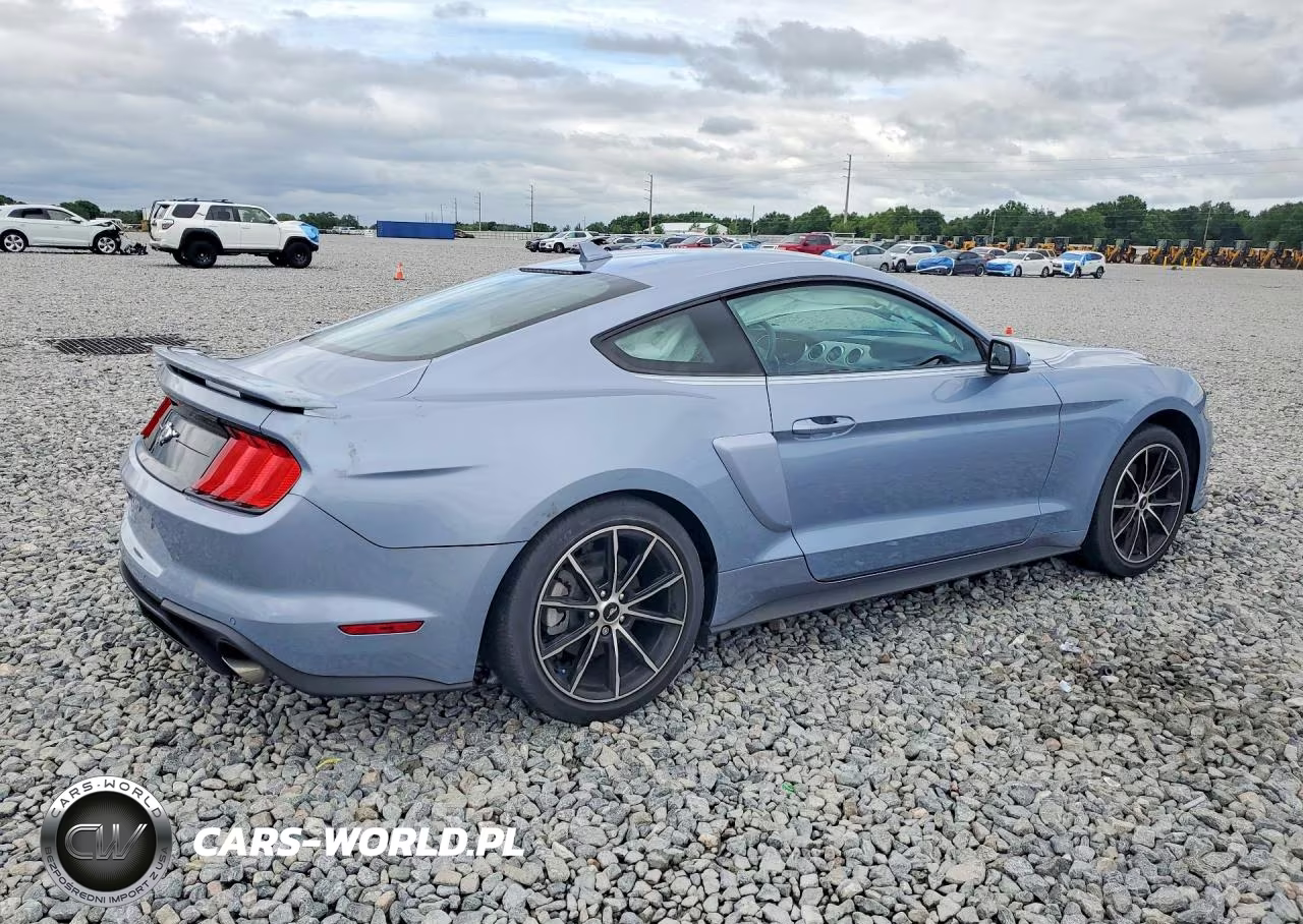 2022 Ford Mustang VIN:1FA6P8TH0N5136781 - 3