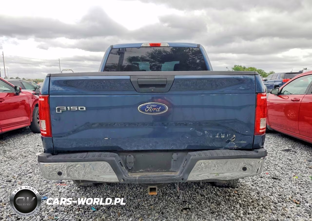 2016 Ford F150 Supercrew VIN:1FTEW1EF5GFB81966 - 6