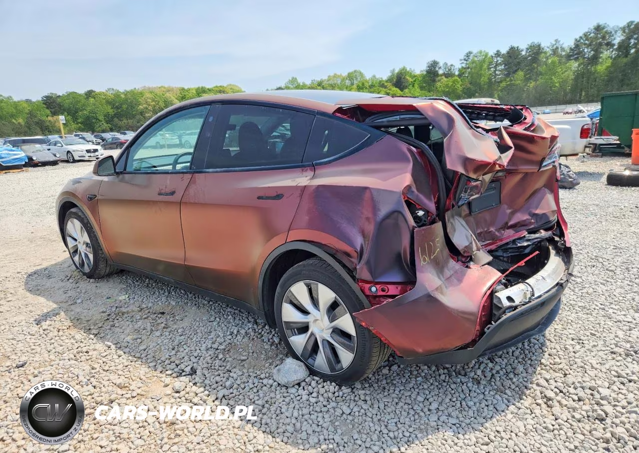 2023 Tesla Model Y VIN:7SAYGDEE8PA026125 - 2