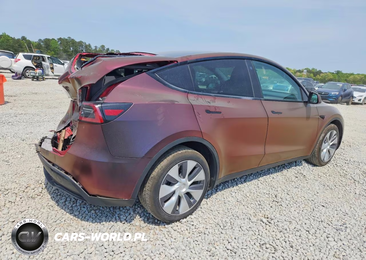 2023 Tesla Model Y VIN:7SAYGDEE8PA026125 - 3