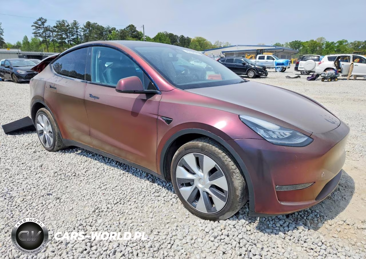 2023 Tesla Model Y VIN:7SAYGDEE8PA026125 - 4