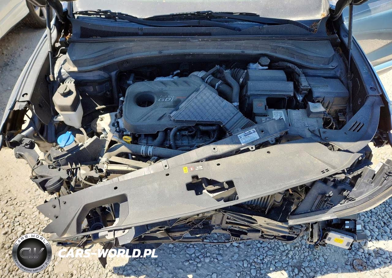 2019 Hyundai Santa Fe Ultimate 2.0T VIN:5NMS53AA6KH095945 - 12