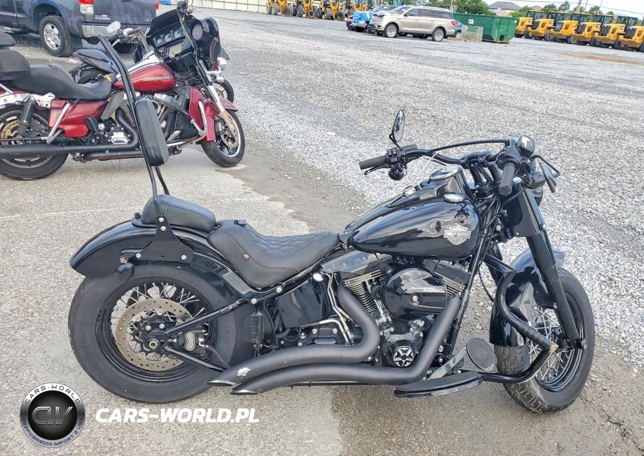 2017 Harley-Davidson Flss