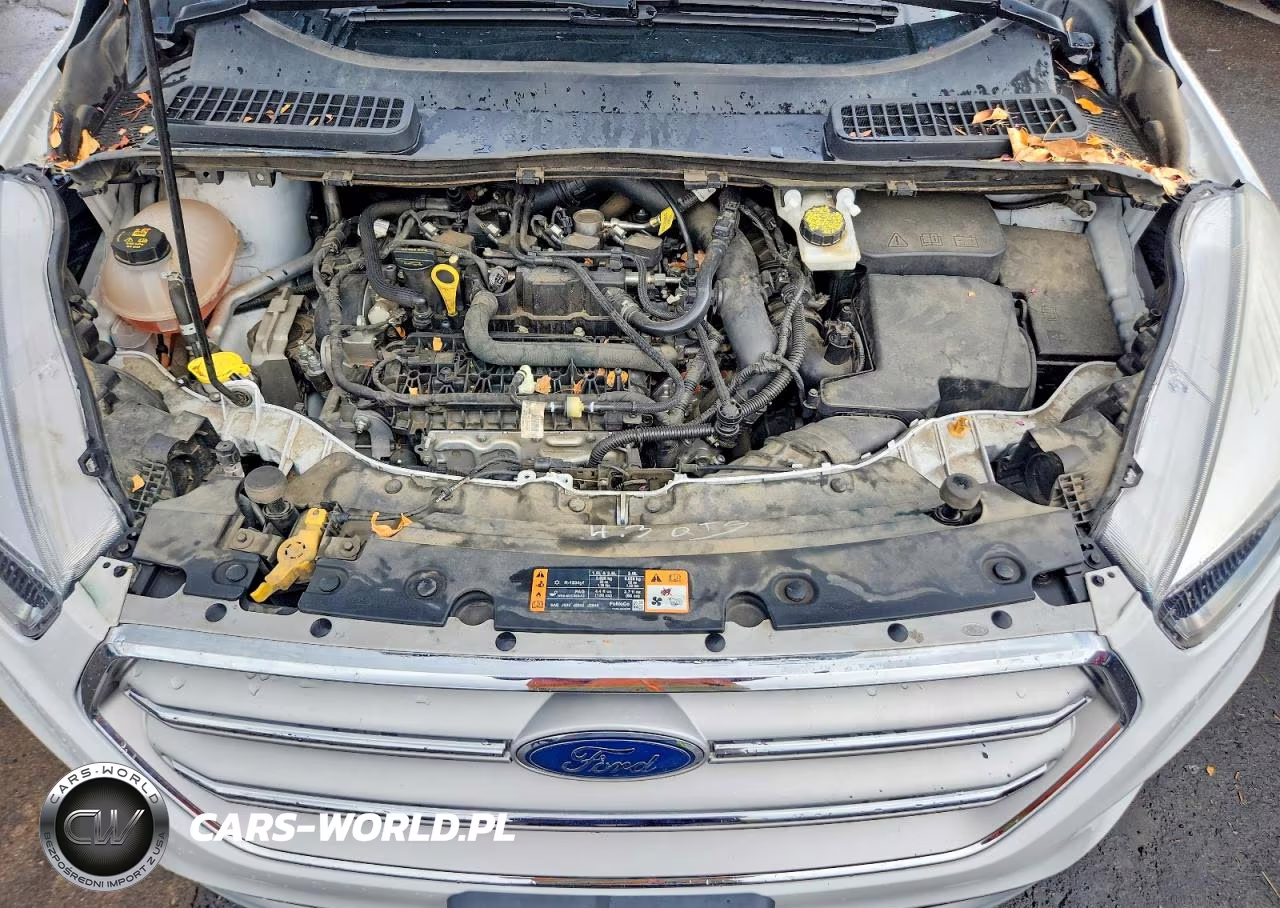 2019 Ford Escape Se VIN:1FMCU0GD0KUA41181 - 12