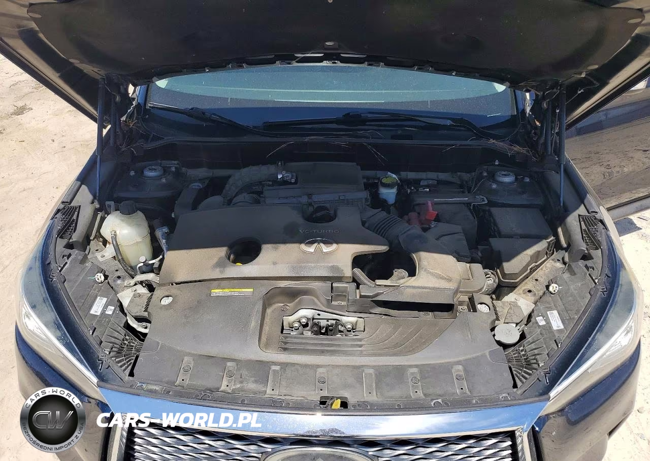 2019 Infiniti Qx50 Luxe VIN:3PCAJ5M12KF135857 - 12