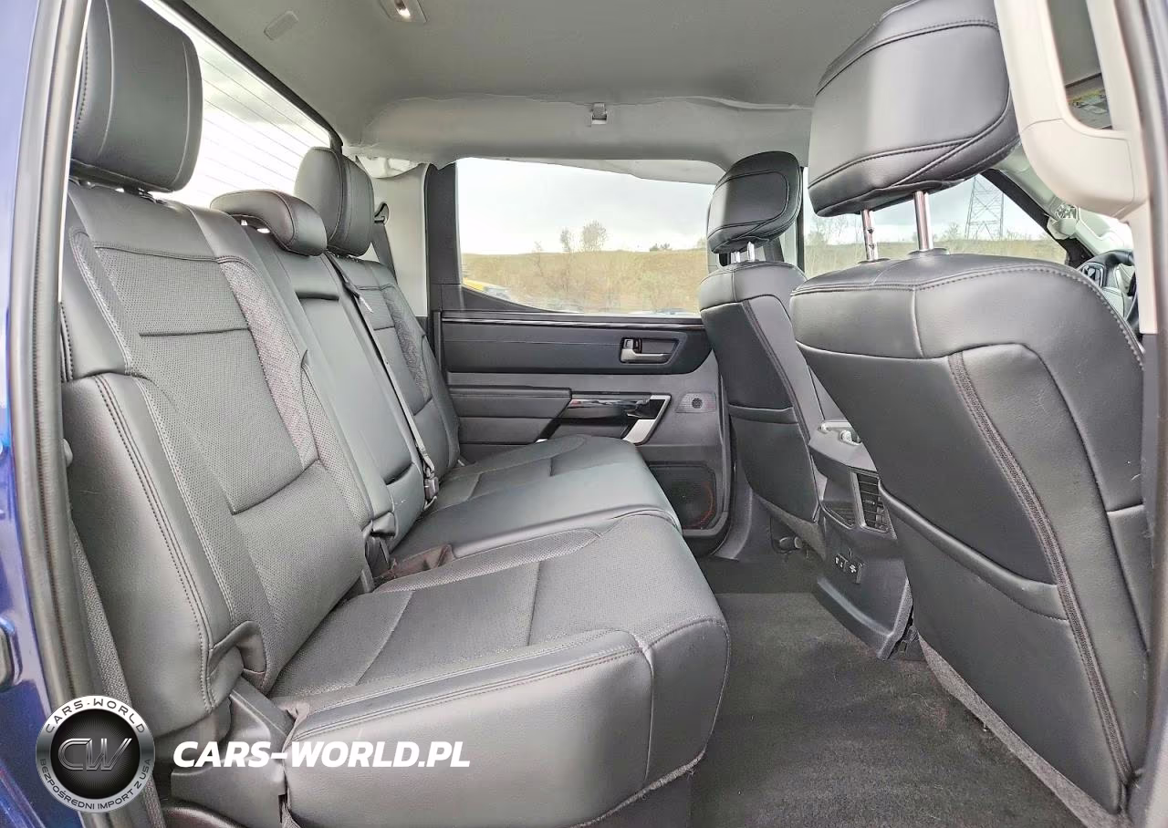 2023 Toyota Tundra Limited VIN:5TFJA5DB3PX067946 - 10