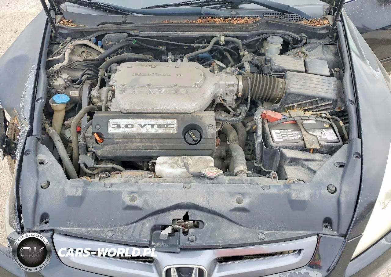 2004 Honda Accord Ex VIN:1HGCM66544A104046 - 11