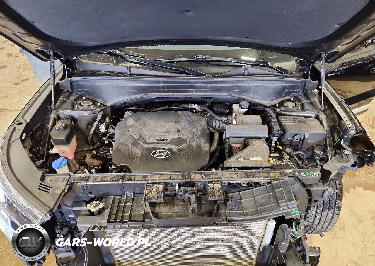 2021 Hyundai Palisade Sel VIN:KM8R4DHE7MU272090 - 12