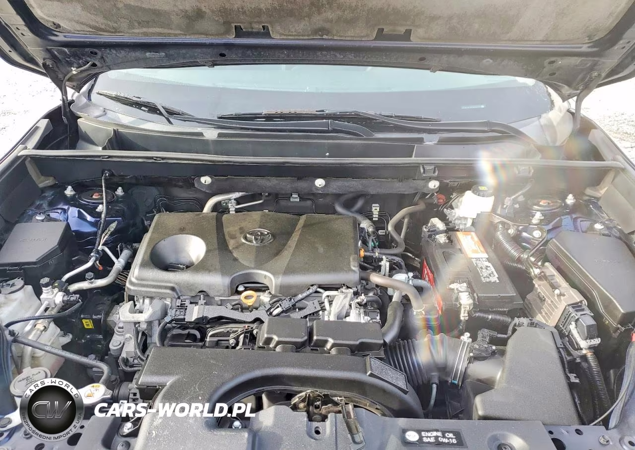 2020 Toyota Rav4 Xle VIN:2T3P1RFV0LW087806 - 23