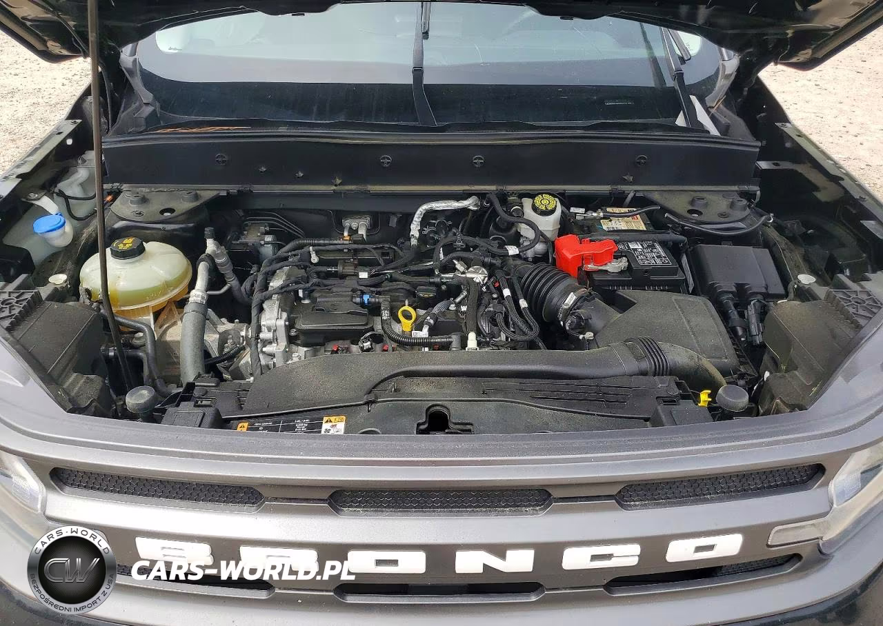 2021 Ford Bronco Sport Big Bend VIN:3FMCR9B65MRA85542 - 12