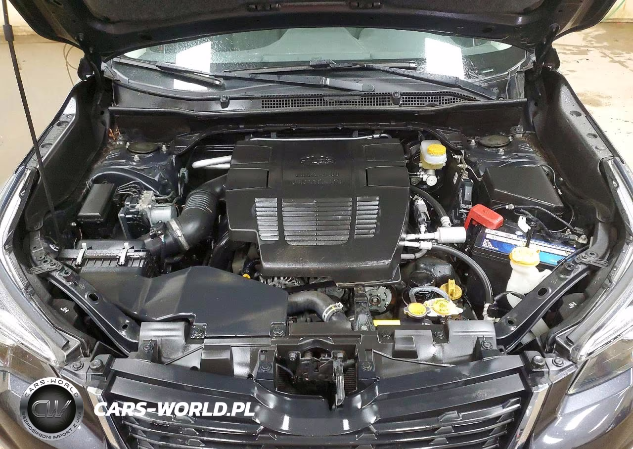 2019 Subaru Forester Touring VIN:JF2SKAWC1KH548041 - 12