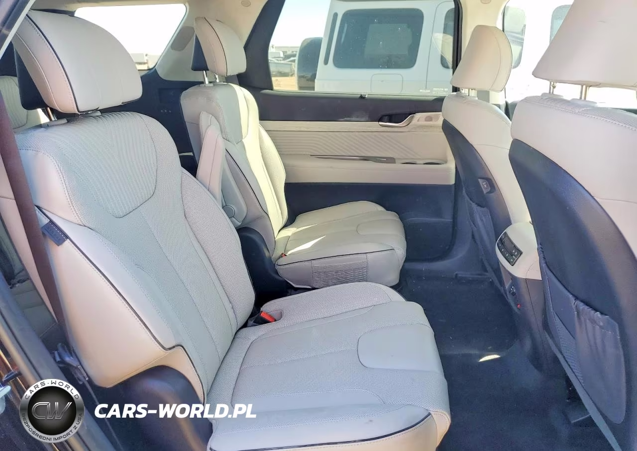 2025 Hyundai Palisade Calligraphy VIN:KM8R7DGE6SU878437 - 11