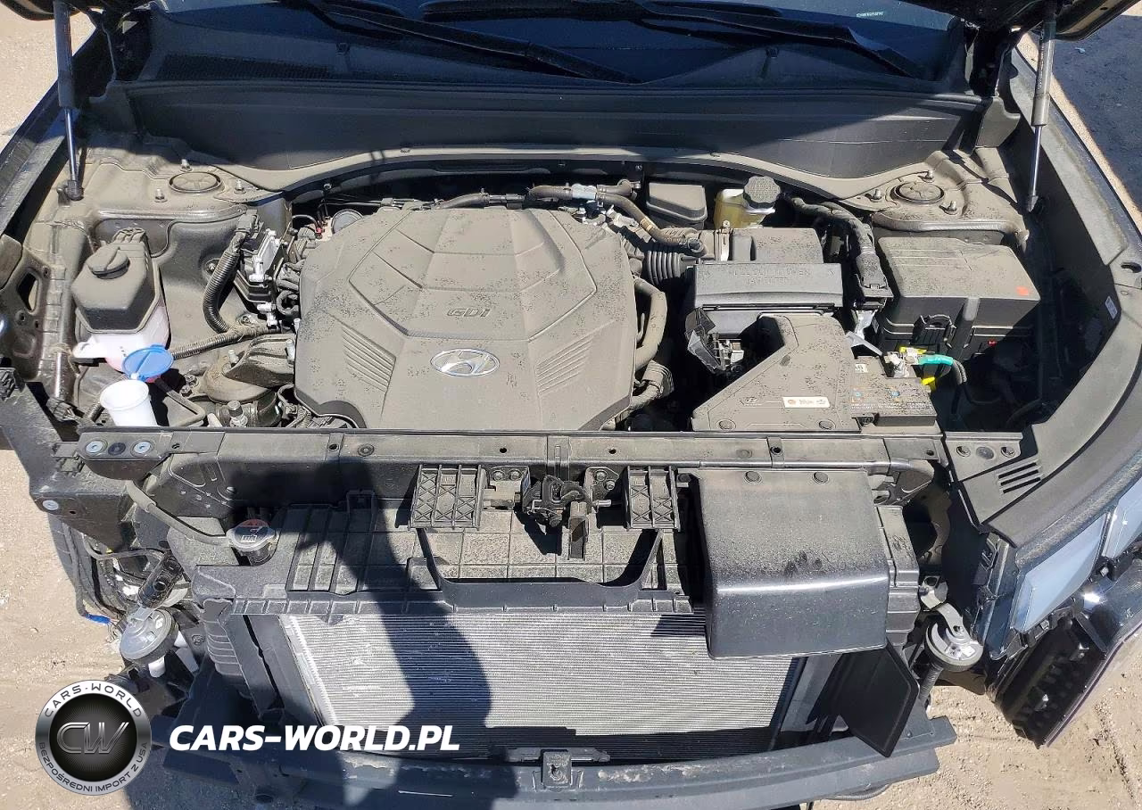 2025 Hyundai Palisade Calligraphy VIN:KM8R7DGE6SU878437 - 12
