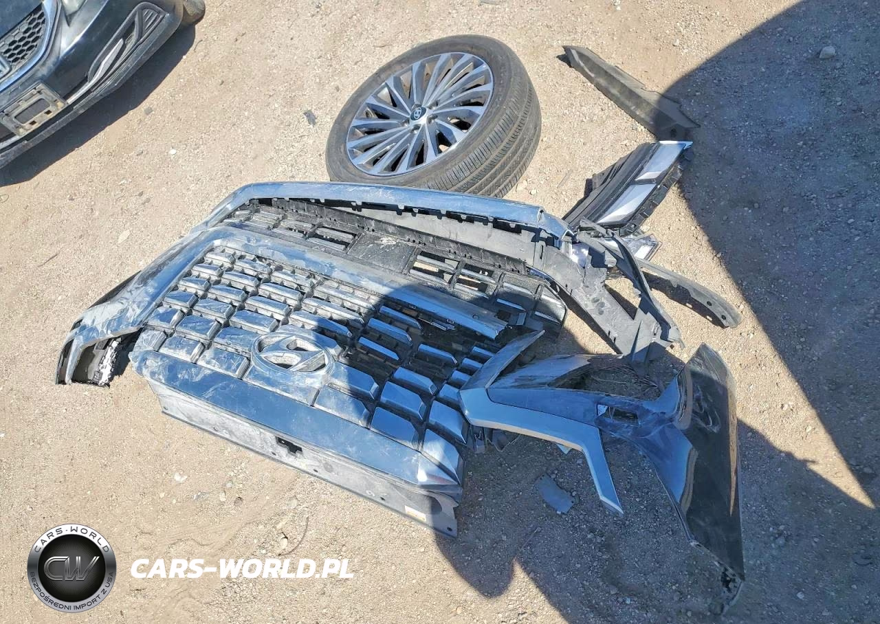2025 Hyundai Palisade Calligraphy VIN:KM8R7DGE6SU878437 - 13