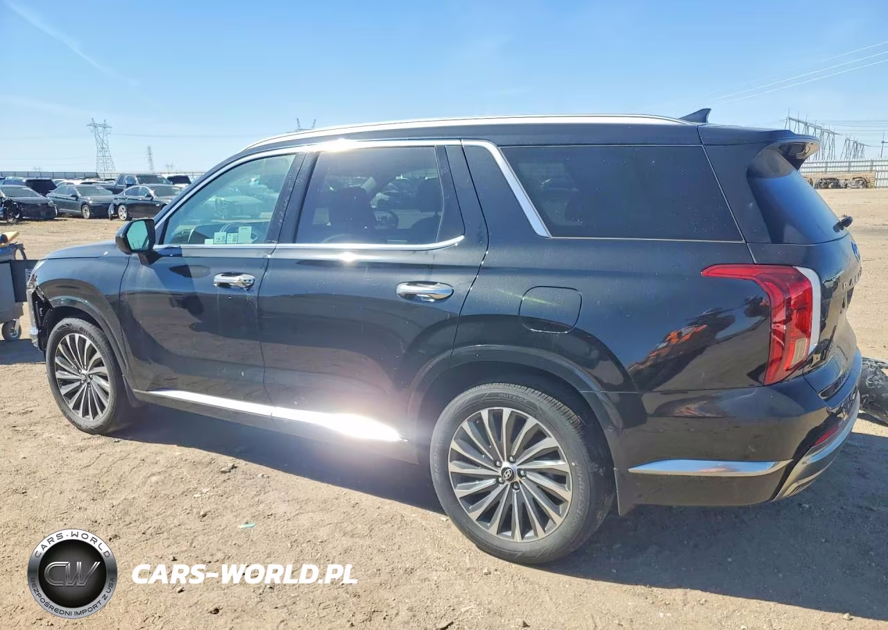 2025 Hyundai Palisade Calligraphy VIN:KM8R7DGE6SU878437 - 2