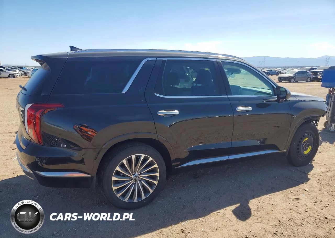 2025 Hyundai Palisade Calligraphy VIN:KM8R7DGE6SU878437 - 3