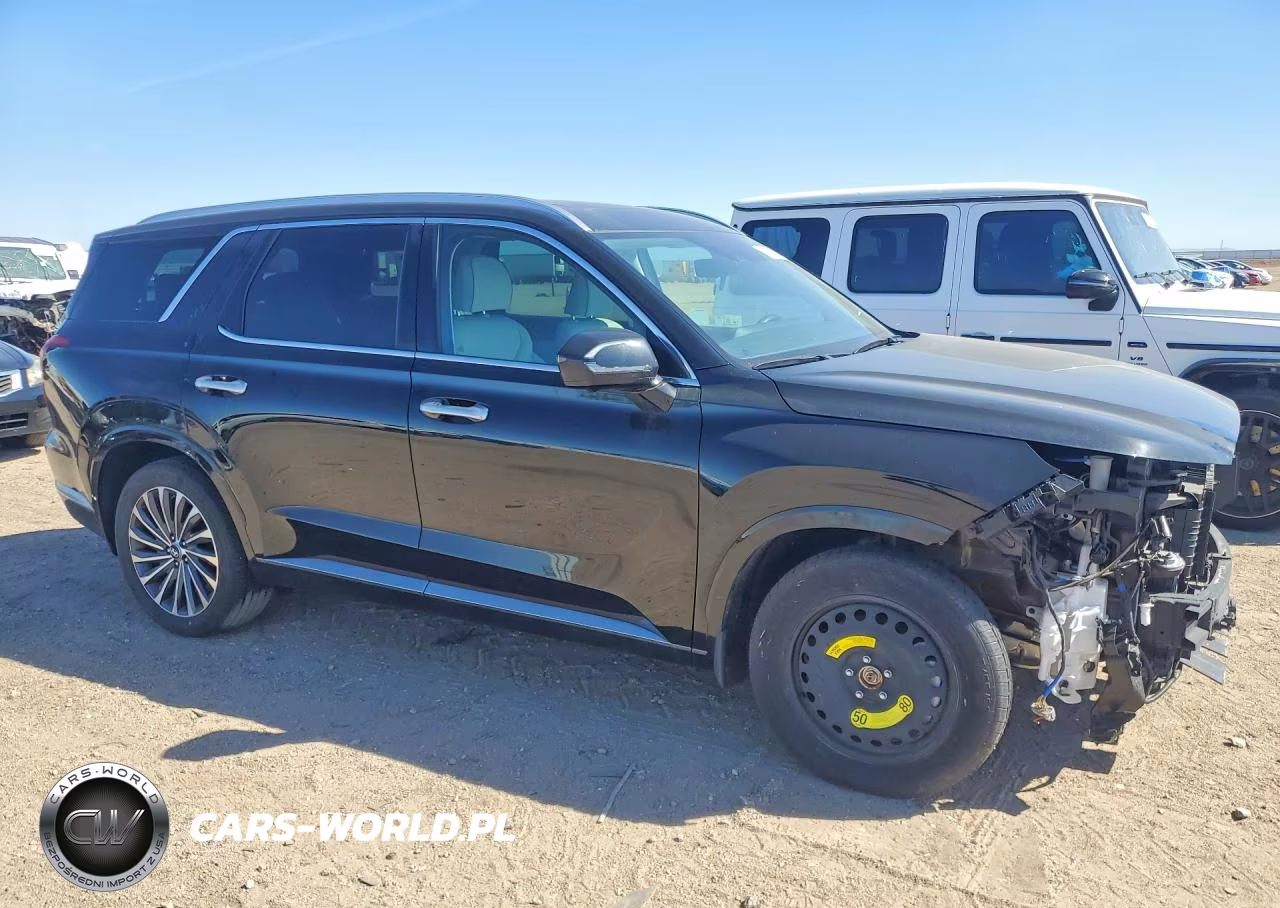 2025 Hyundai Palisade Calligraphy VIN:KM8R7DGE6SU878437 - 4