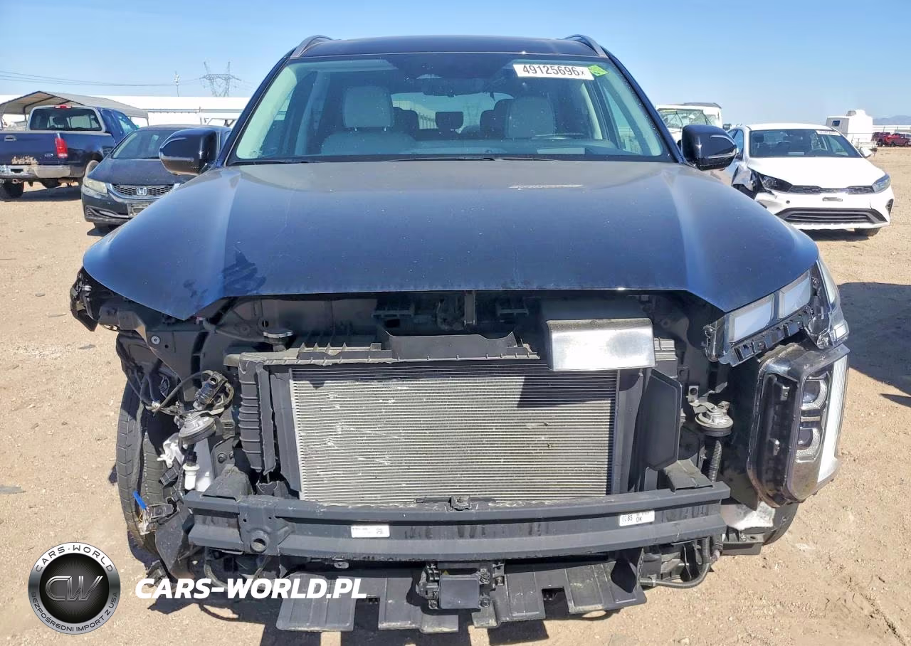 2025 Hyundai Palisade Calligraphy VIN:KM8R7DGE6SU878437 - 5