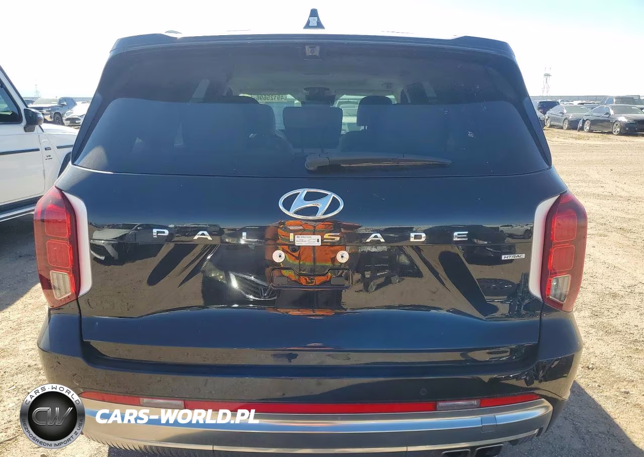 2025 Hyundai Palisade Calligraphy VIN:KM8R7DGE6SU878437 - 6