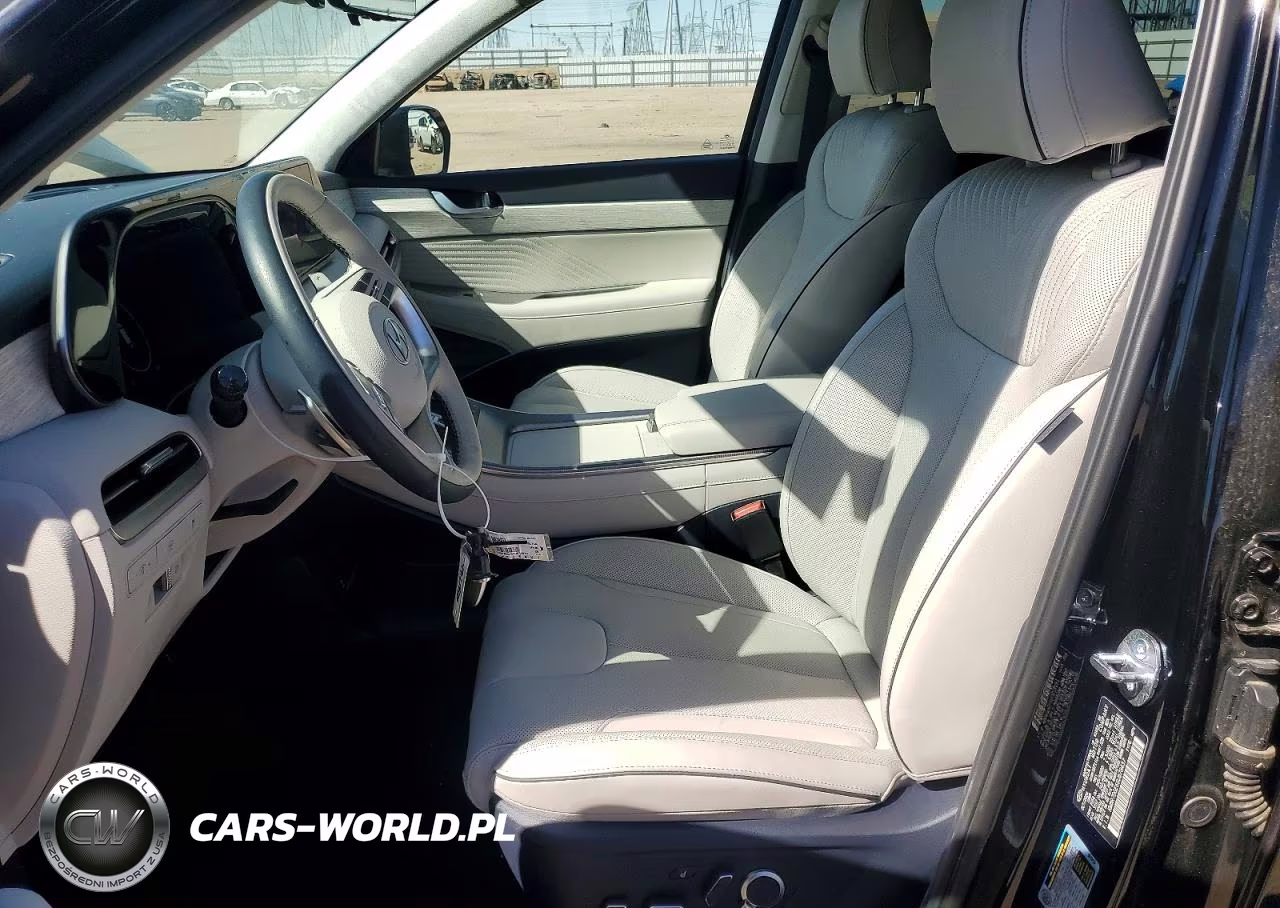 2025 Hyundai Palisade Calligraphy VIN:KM8R7DGE6SU878437 - 7