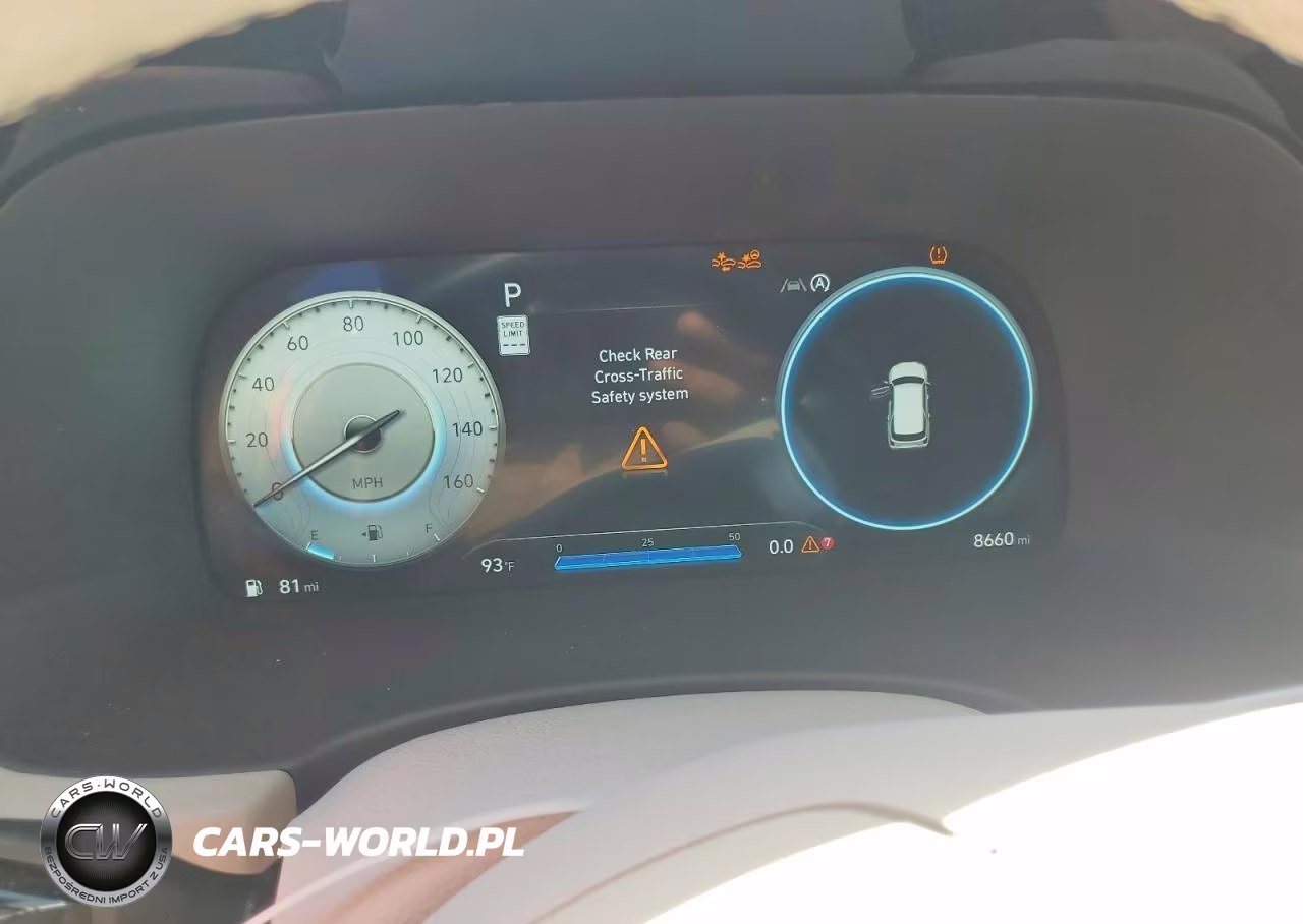 2025 Hyundai Palisade Calligraphy VIN:KM8R7DGE6SU878437 - 9