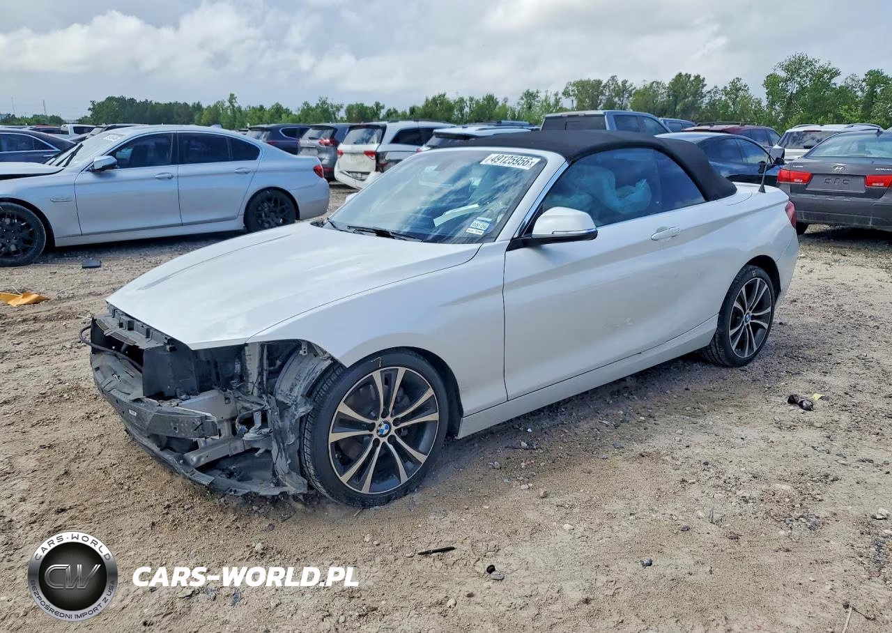 2017 BMW 230I