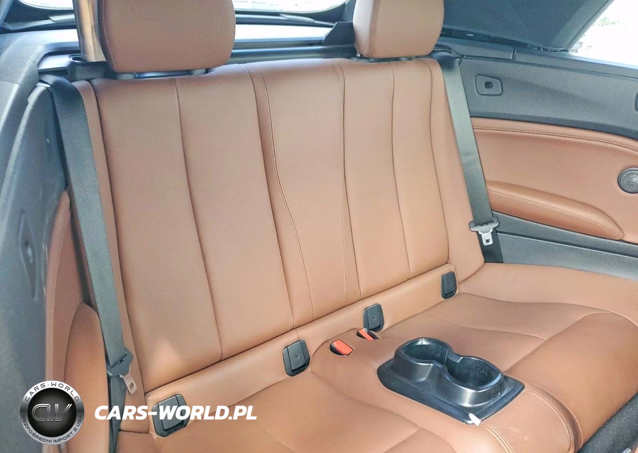 2017 BMW 230I VIN:WBA2K9C35HV647390 - 10